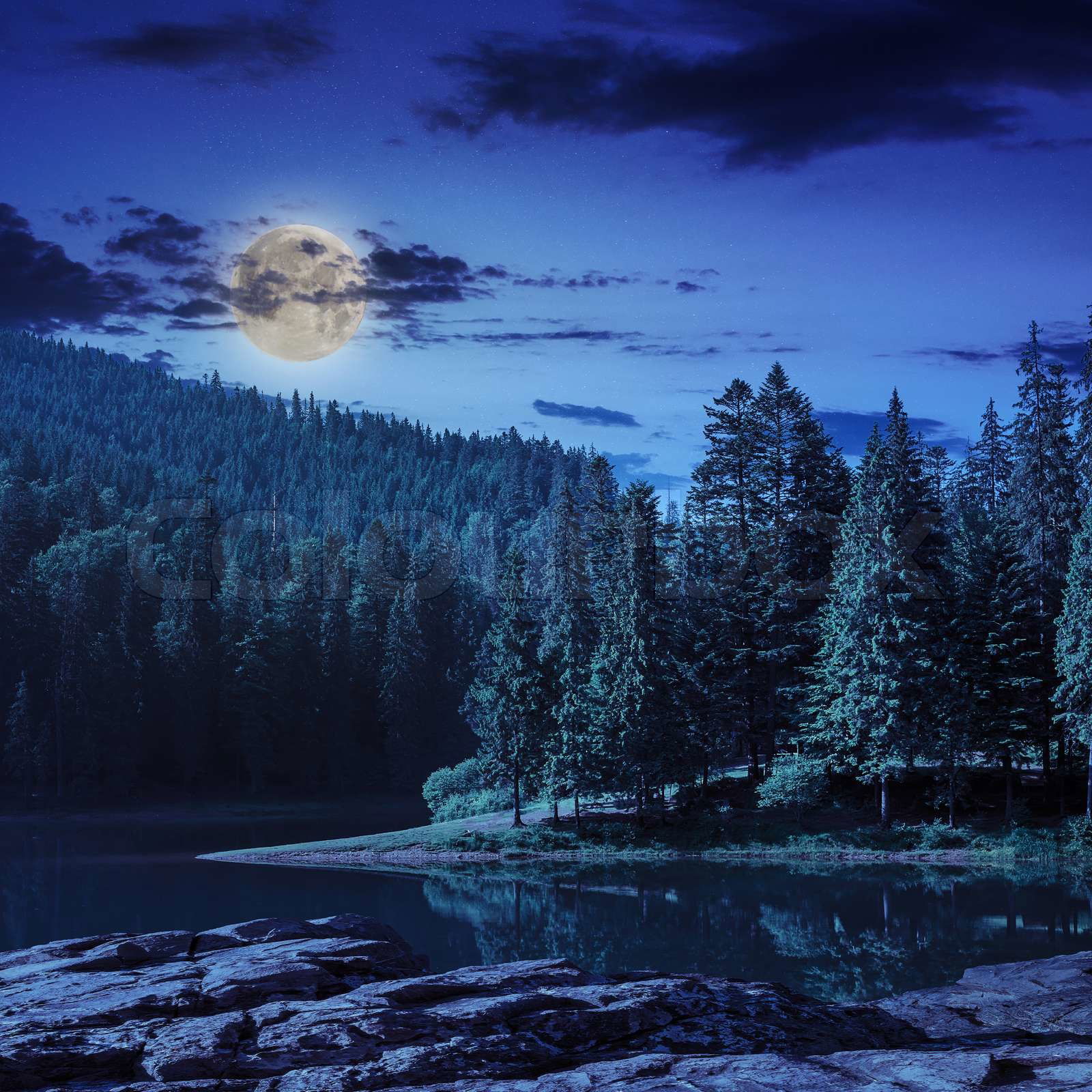 View on lake near the pine forest on mountain background at View on lake near the pine forest on mountain background at