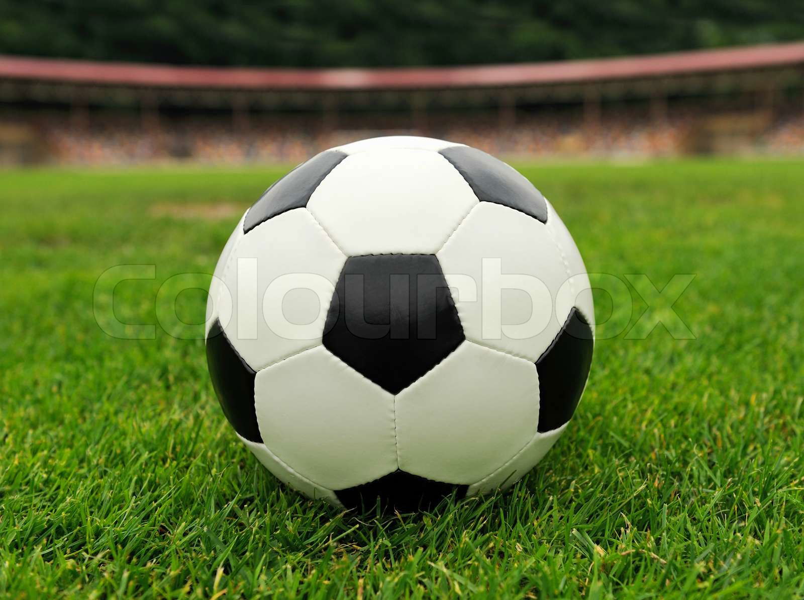 Close up soccer ball on green grass Colourbox