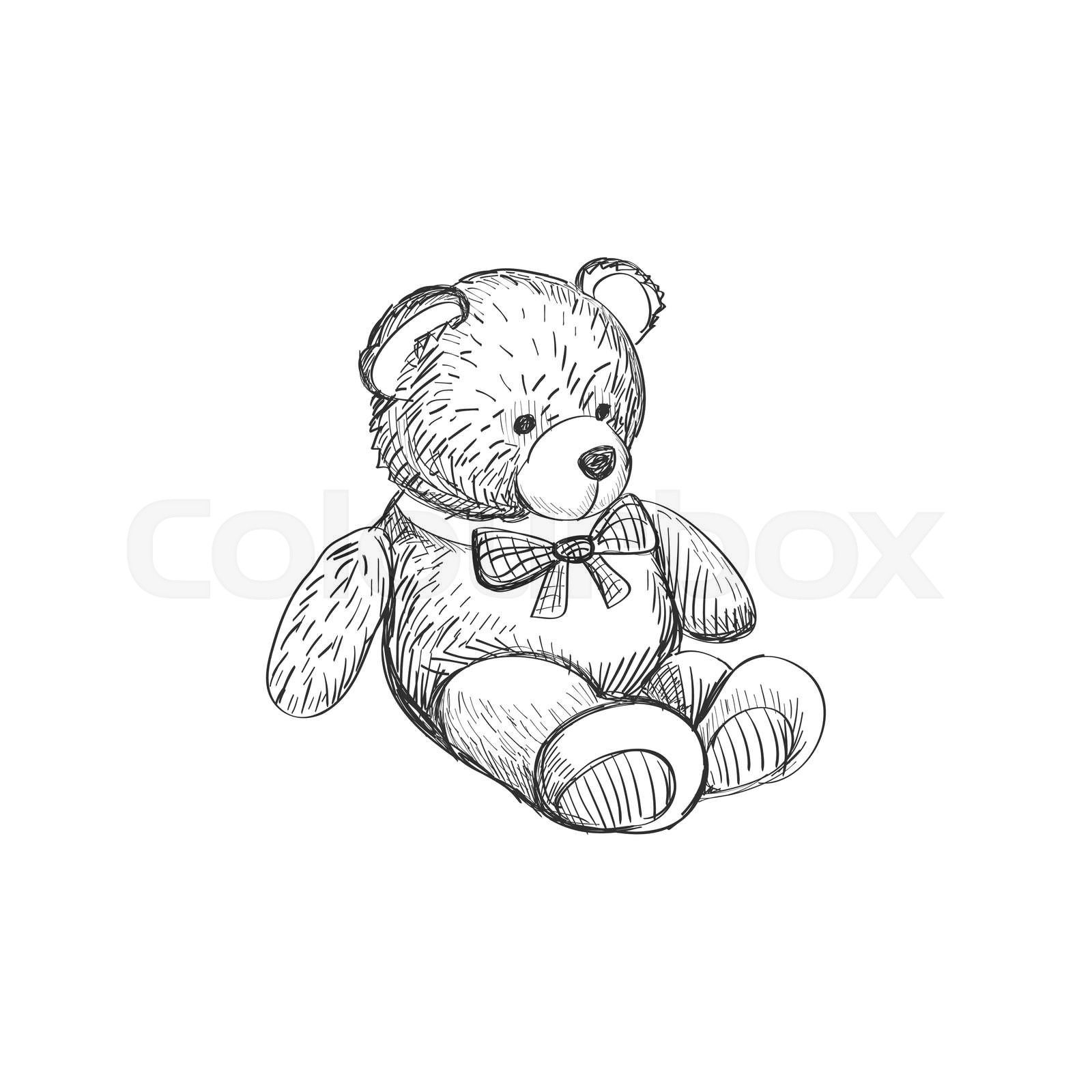 Doodle Teddy bear isolated on white background excellent ve Colourbox