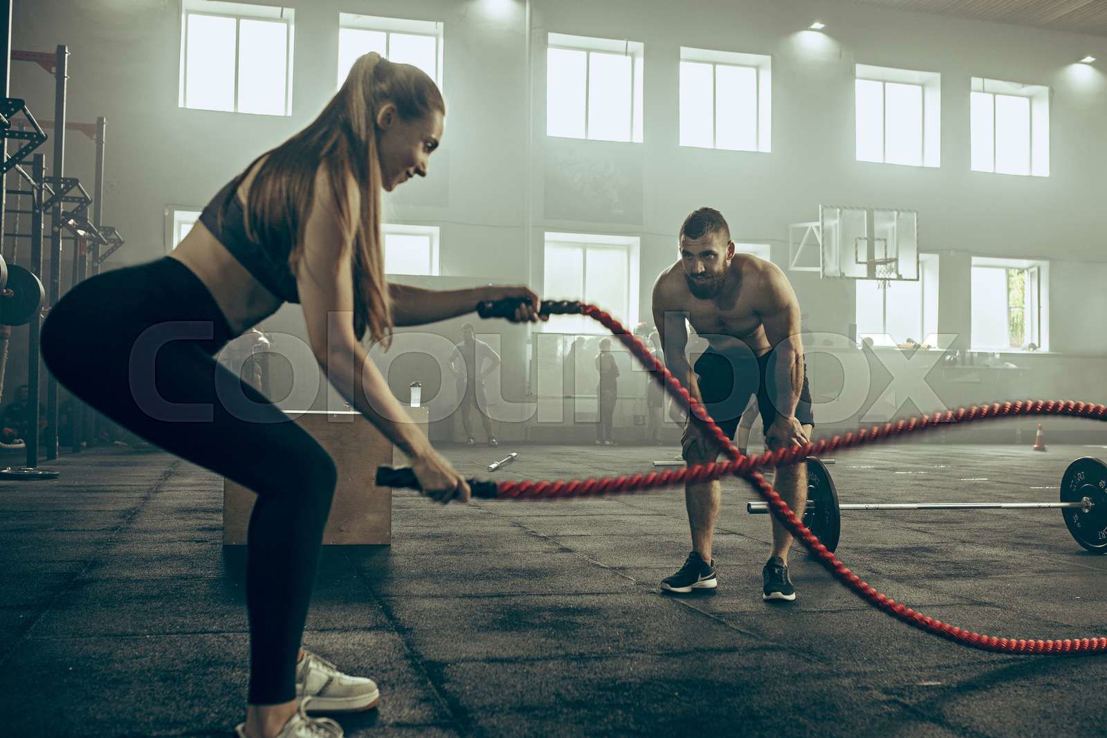 Woman with battle ropes exercise in the fitness gym. gym sp Colourbox