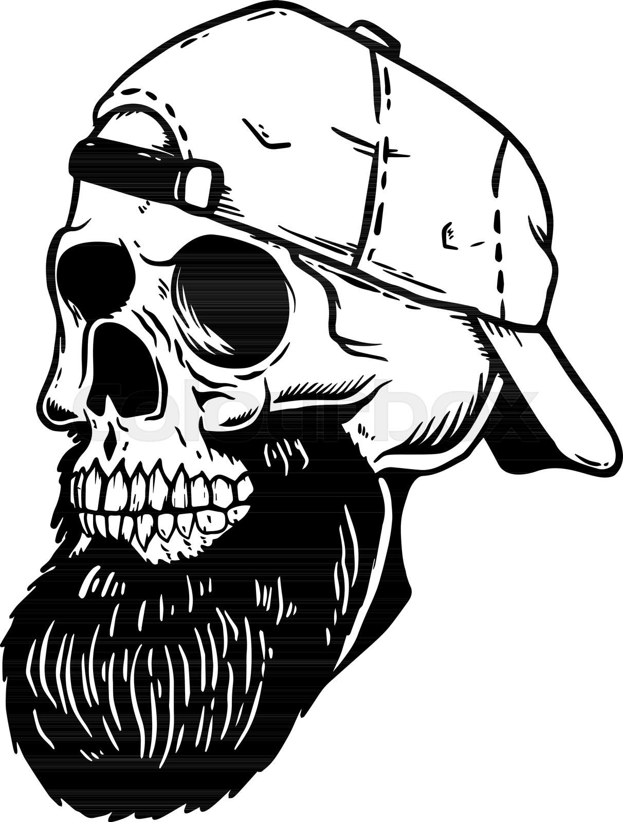 Bearded skull in baseball cap. Design element for t shirt p Colourbox