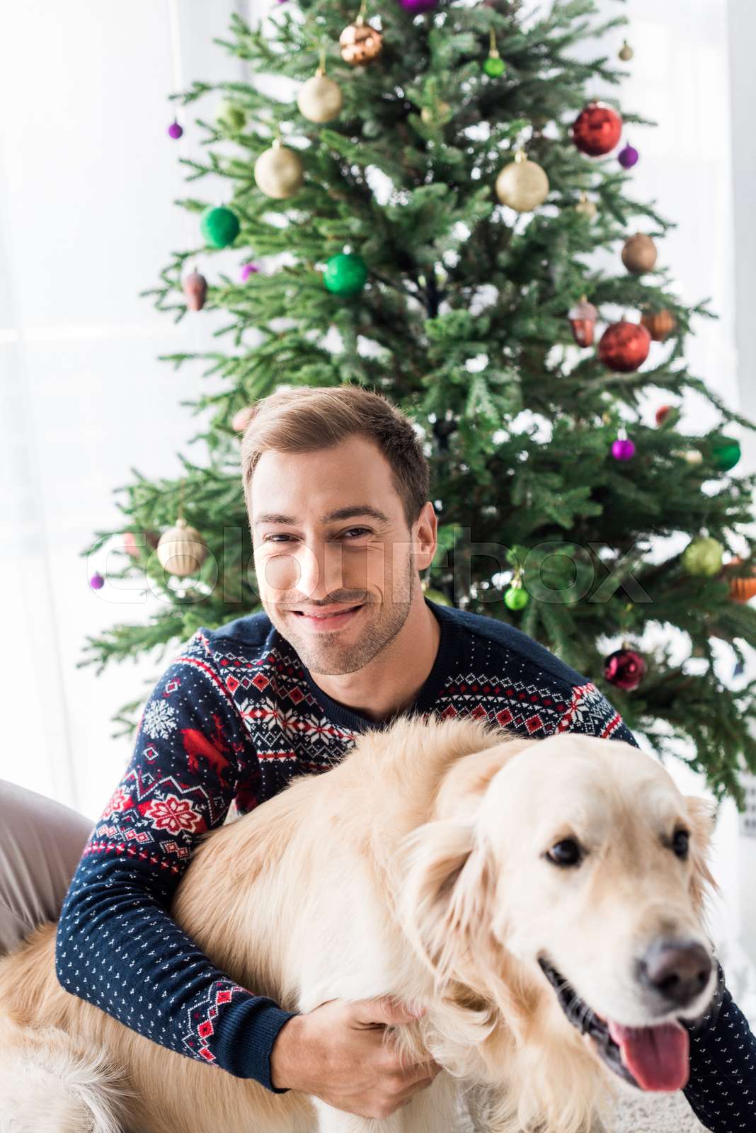 Smiling man in winter sweater giving dog food to golden retr Colourbox