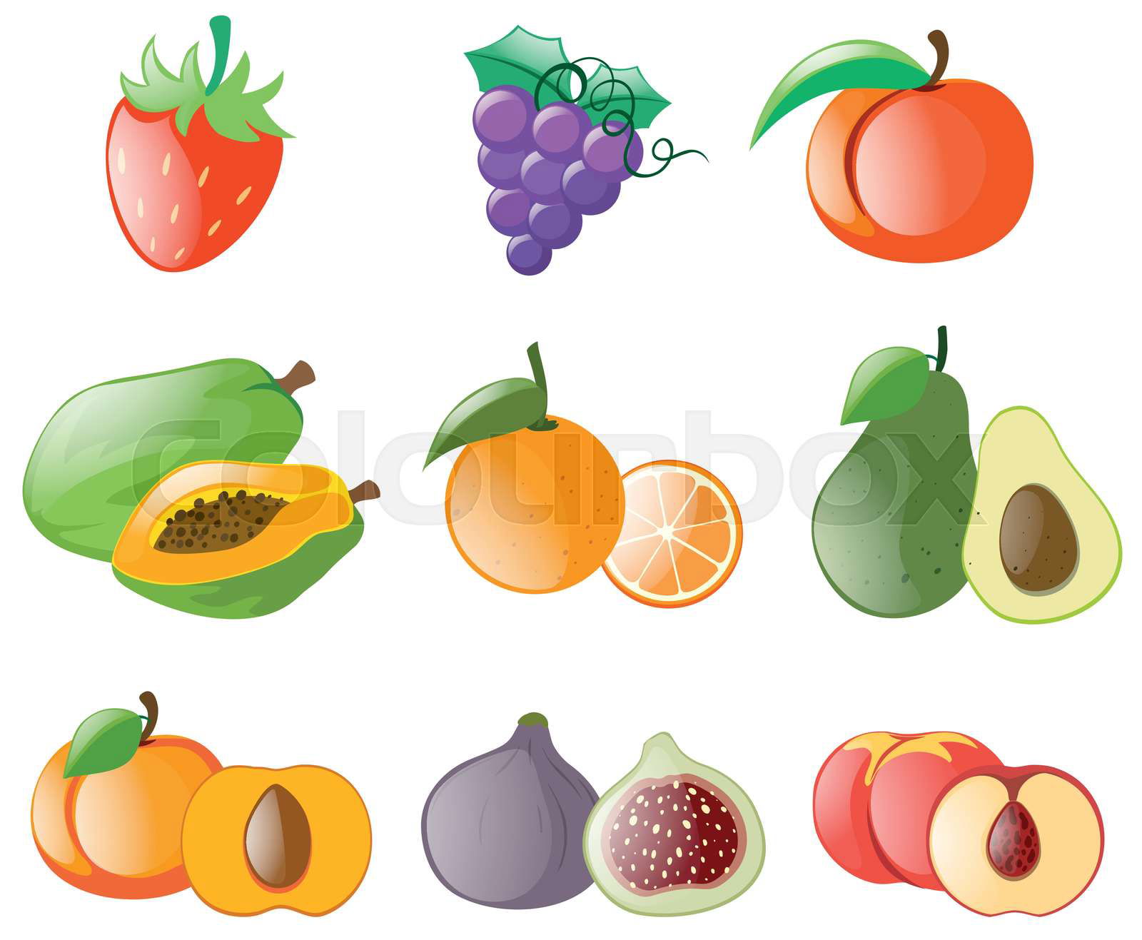 Different types of fresh fruits illustration Colourbox