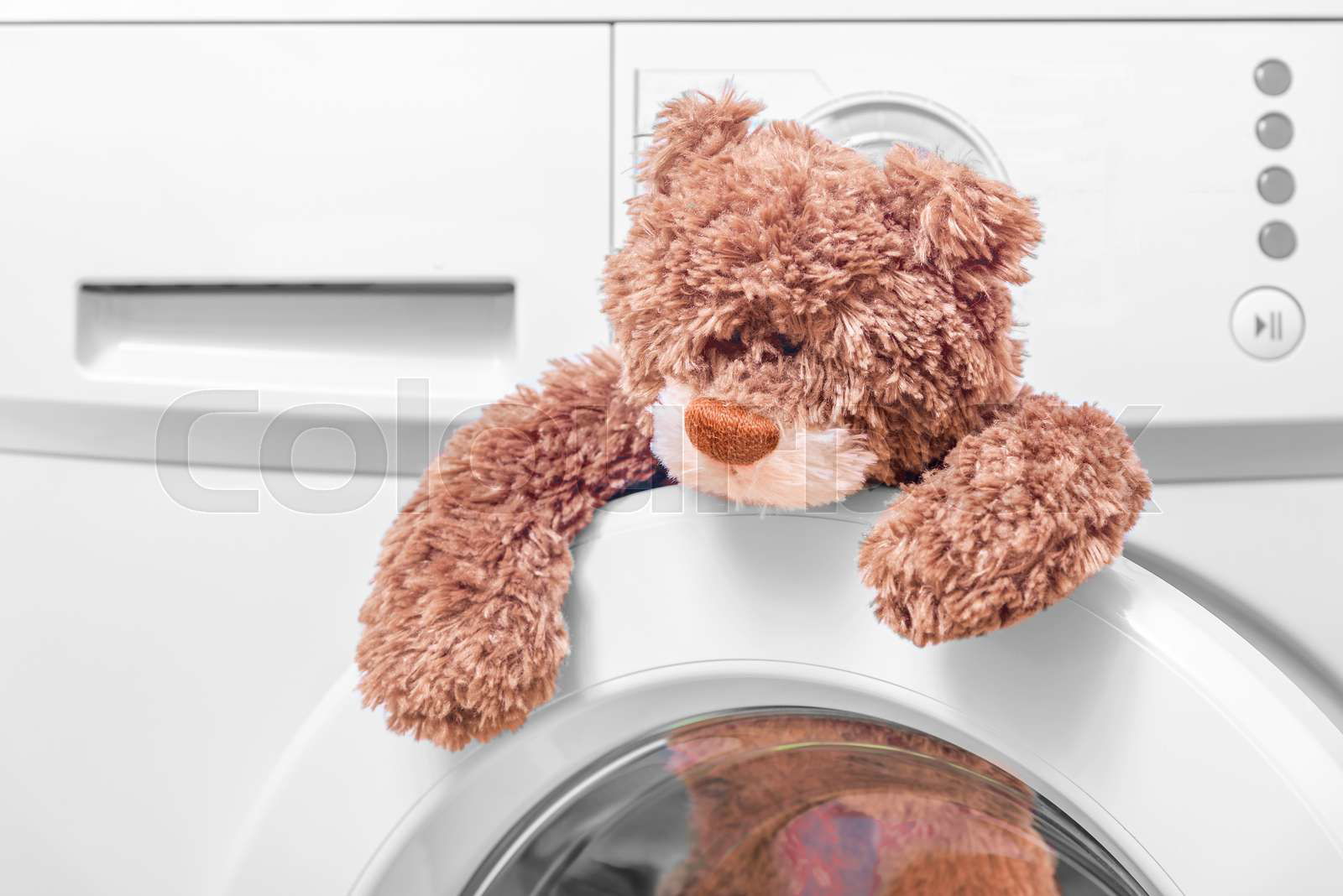 Teddy bear in washing machine online