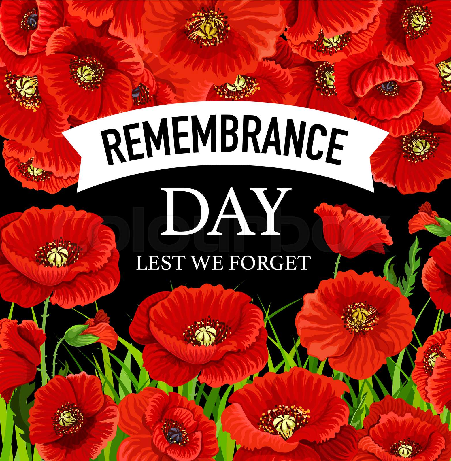 Remembrance Day November 11 poppies. Lest we forget greeting