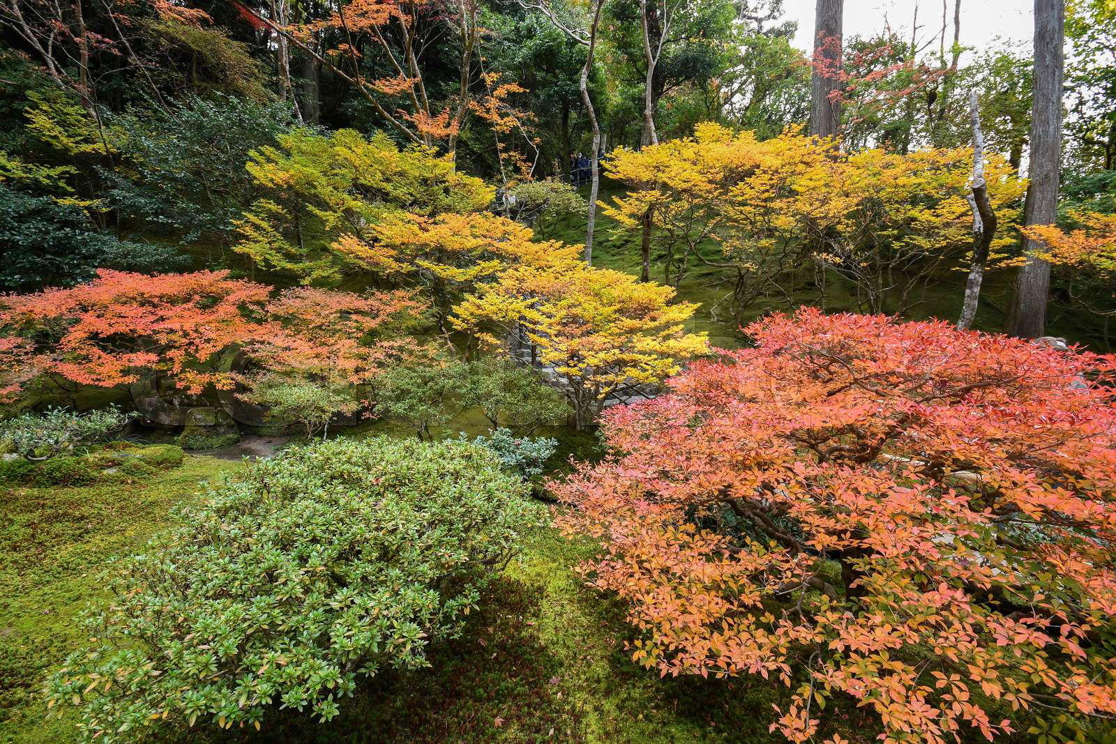 Ginkaku-ji (Temple of the Silver Pavilion) during the autumn