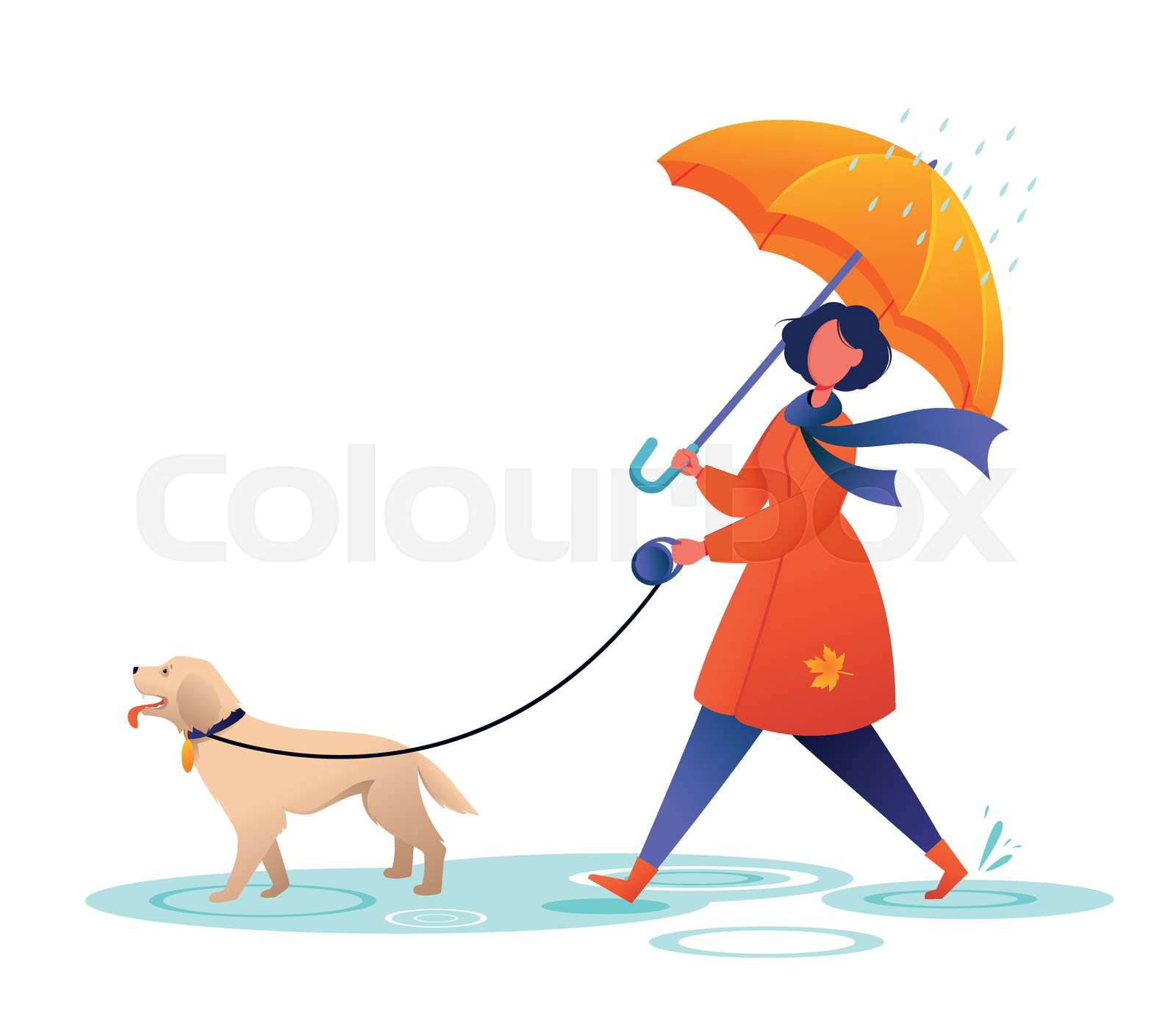 Young woman walking the dog under umbrella autumn rainy we Colourbox