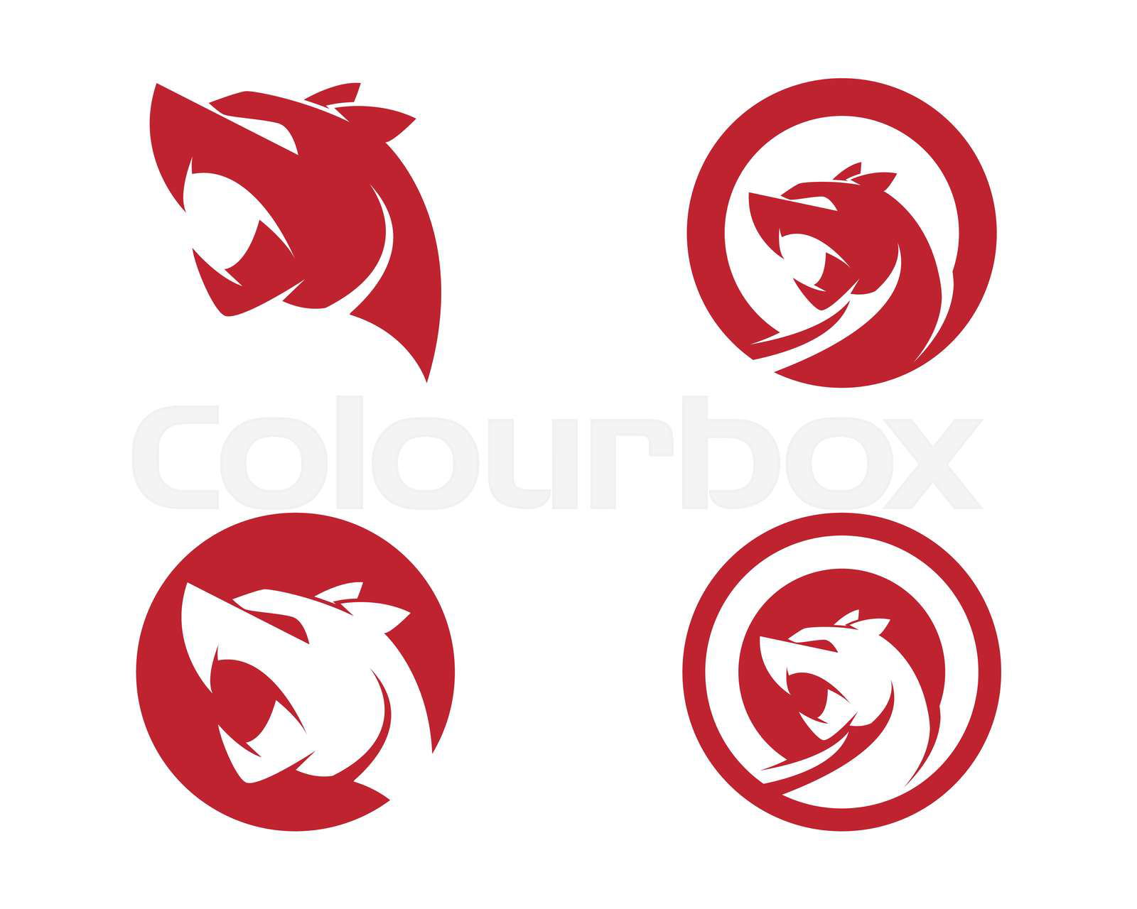 Puma Logo design vector illustration design template Colourbox