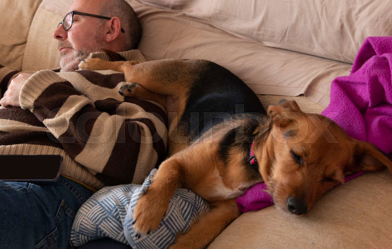 Man sleeps with dog best sale