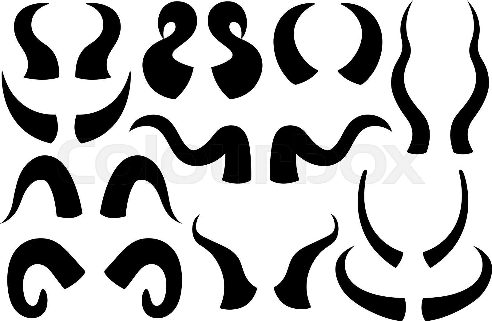 Collection of different animal horns isolated on white Colourbox