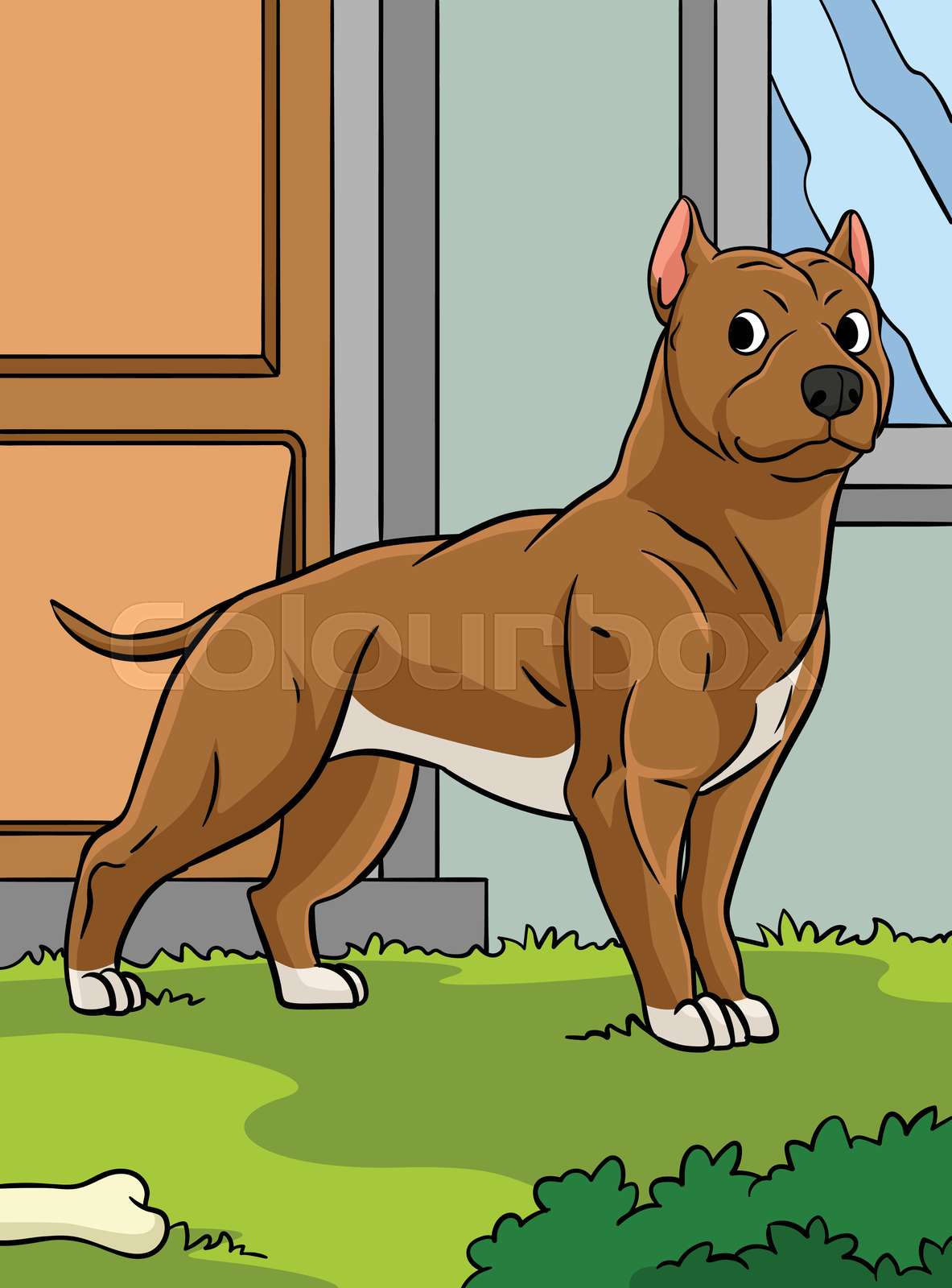 Illustration of cute Pit-bull | Colourbox