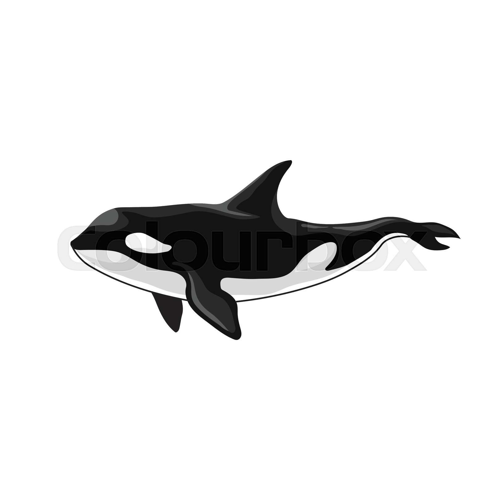 ORCA