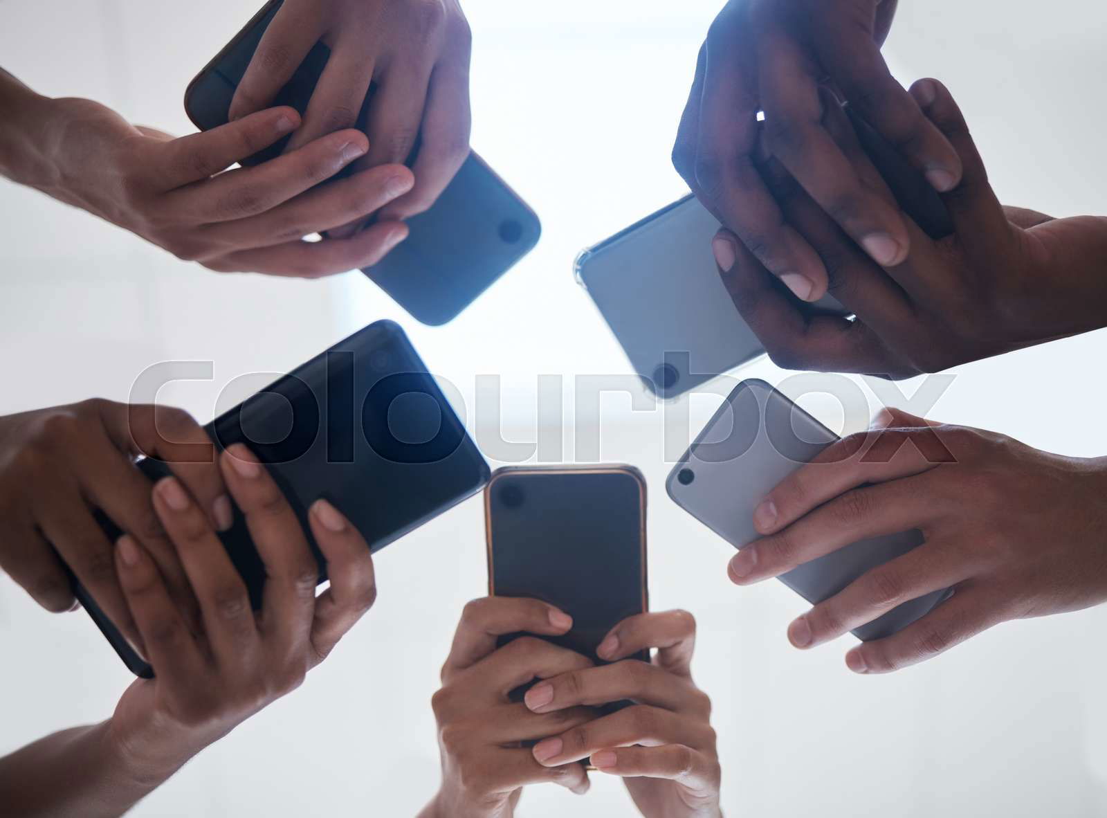 Sharedata online online