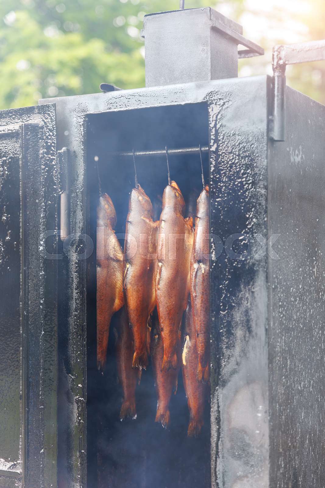 Homemade fish smoker sale