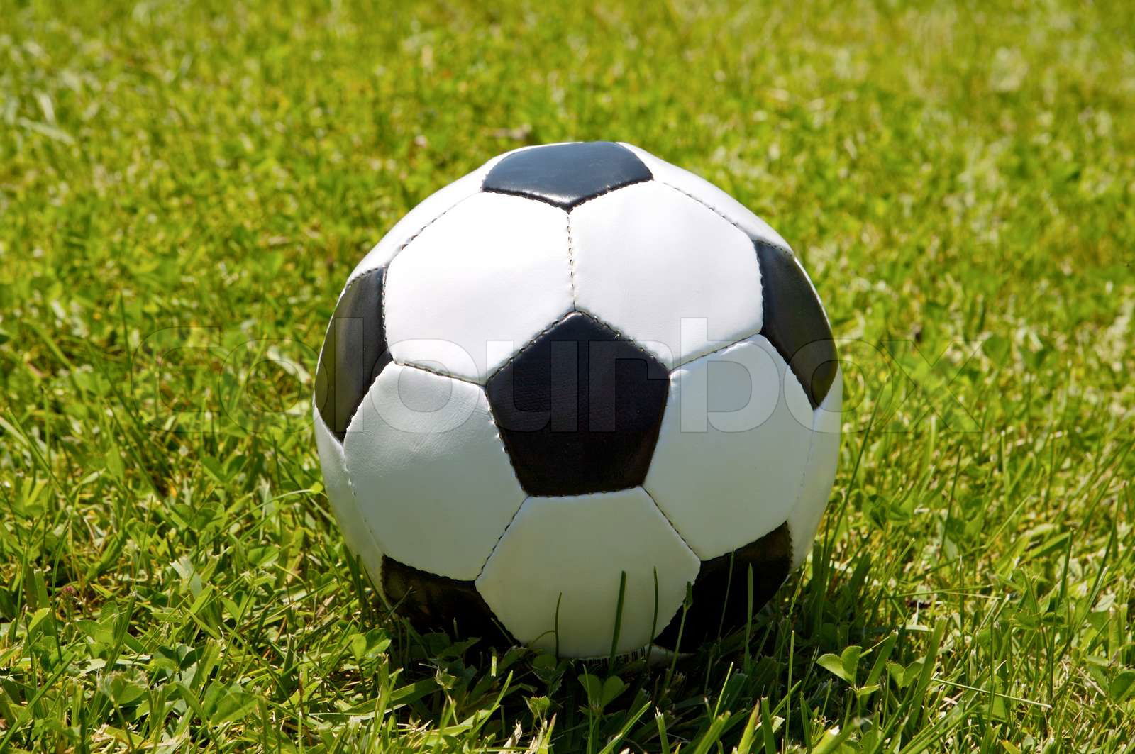 Photo of a Soccer ball upon the green grass Colourbox