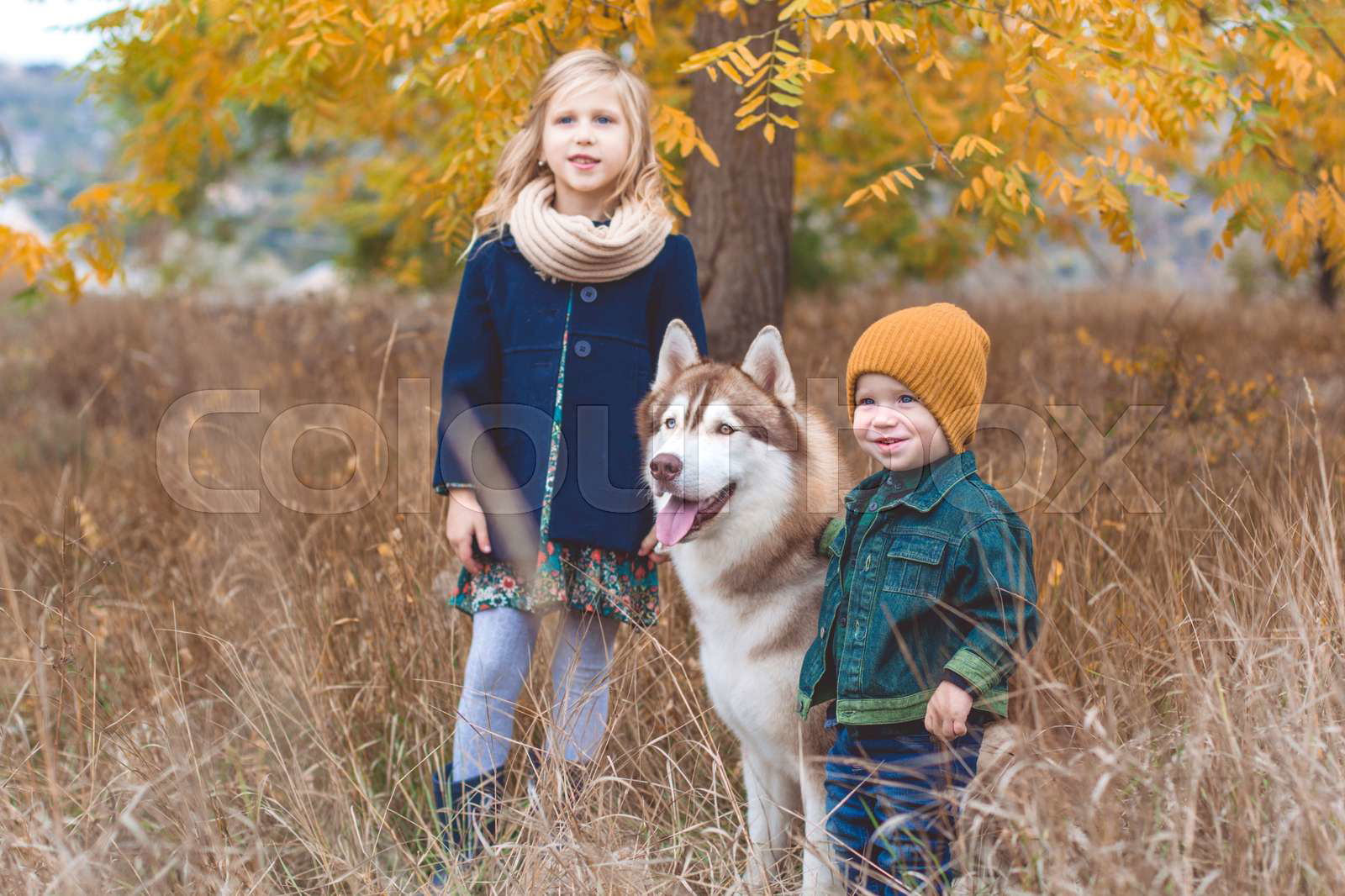Husky girl clothes hotsell